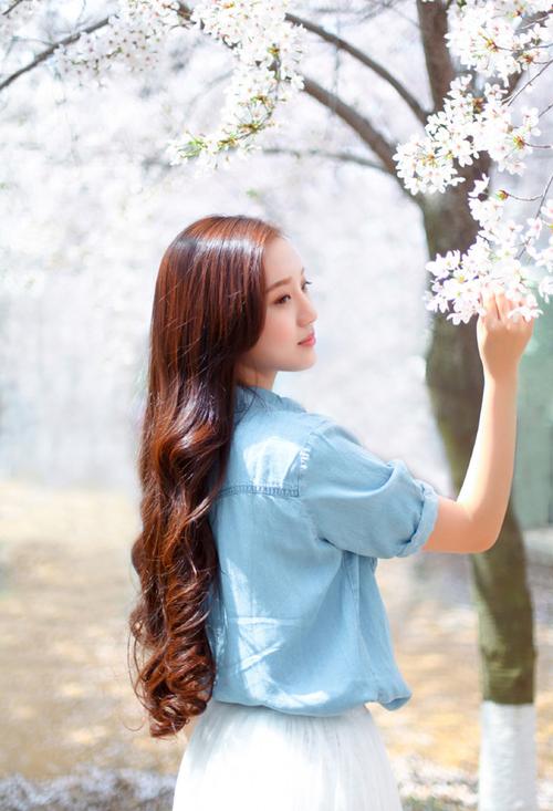 美国伦理〈小妇人〉