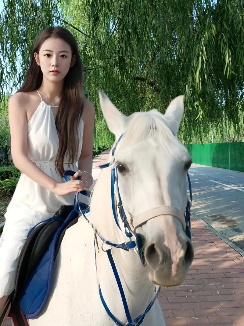 华丽的外出